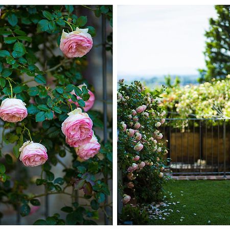 Apartamento The Tower'S Garden San Gimignano Exterior foto
