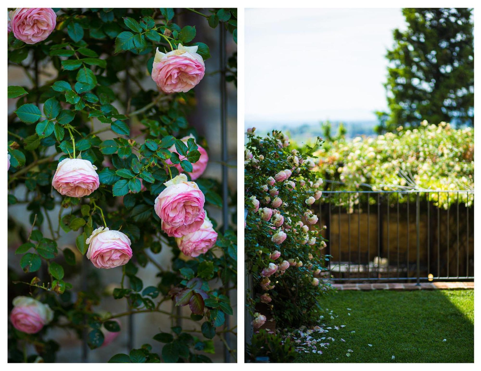 Apartamento The Tower'S Garden San Gimignano Exterior foto