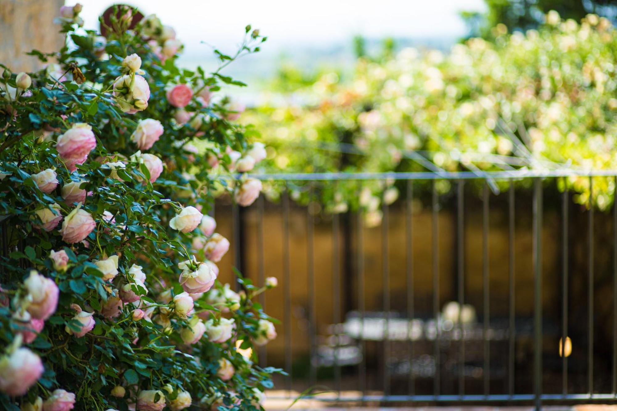Apartamento The Tower'S Garden San Gimignano Exterior foto